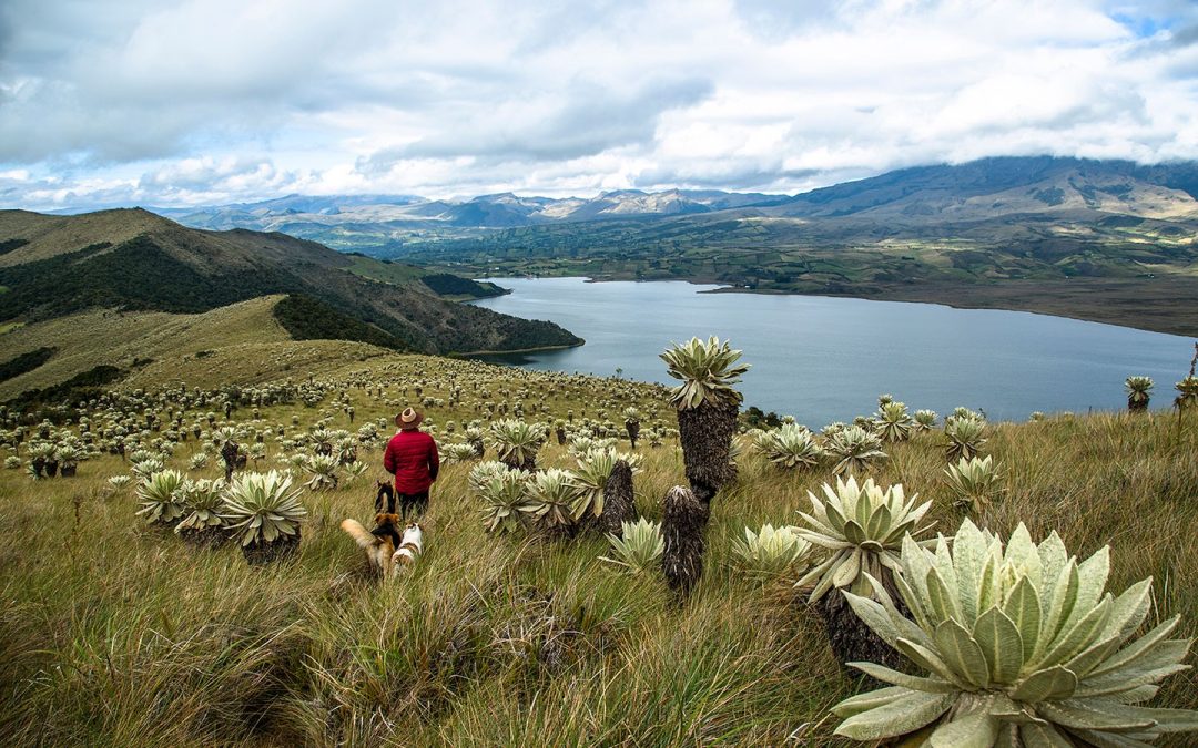 Ventaja de los proyectos agrícolas