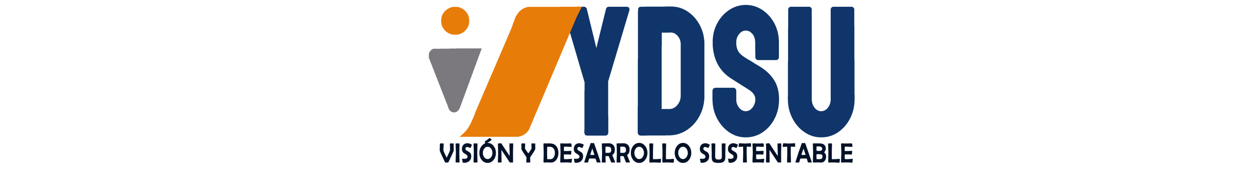 'FUNDACIÓN VYDSU'